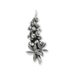 Bluebonnet Charm