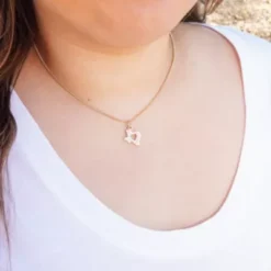 Pave Diamond Deep In The Heart Of Texas Pendant 12 Pave Diamond Deep In The Heart Of Texas Pendant -Fashion Accessories CM 6127 336353 IGC