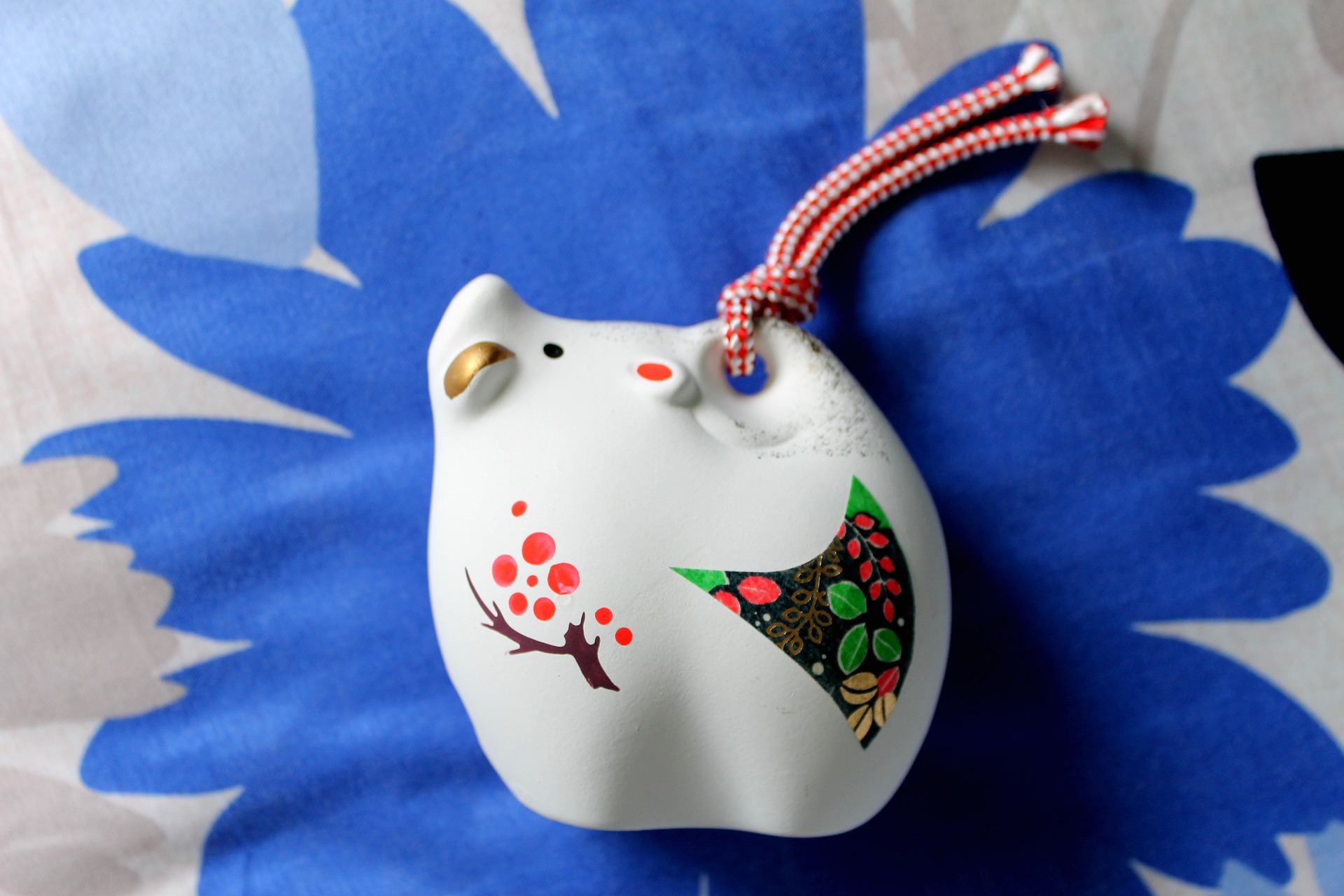 Front Page -Fashion Accessories boar 4182182 1920